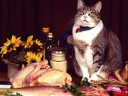 Αστεία γάτες παζλ